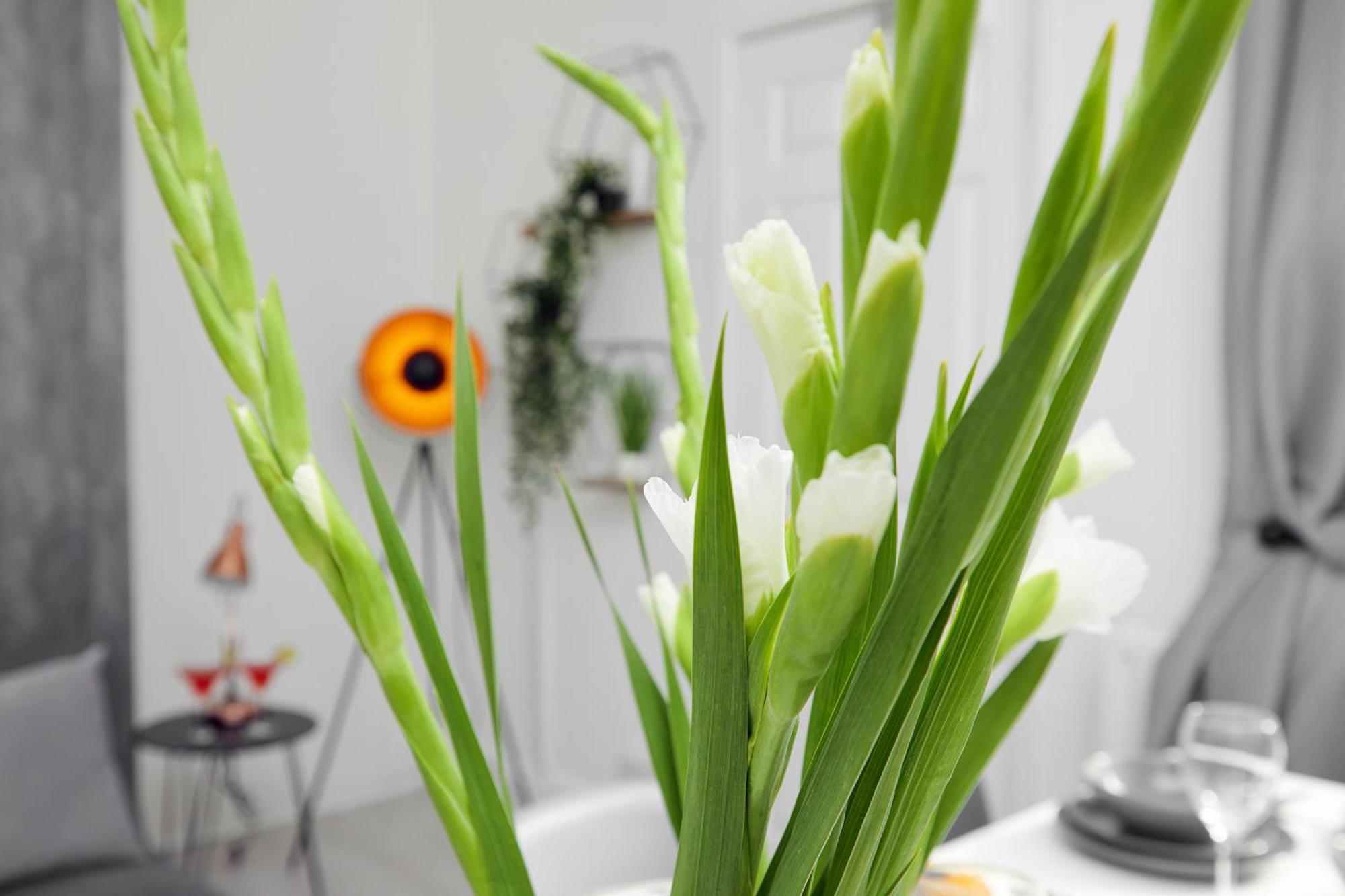 Your Sheffield Stays - Spacious 5 Bedroom House Номер фото